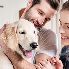 BENJI orthopädisch Hundebett