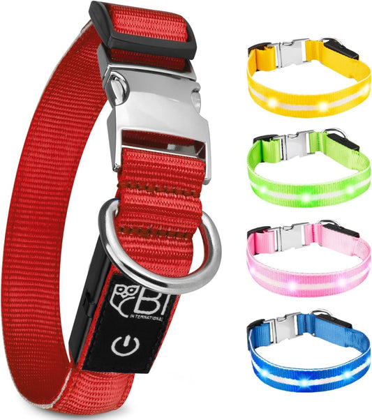 Petsation Leuchthalsband für Hunde – Reflektierendes Hundehalsband mit 5 Leuchtpunkten für bessere Sichtbarkeit und Sicherheit bei Nacht, Verstellbar, Wasserdicht, Ideal für Spaziergänge im Dunkeln, Hundezubehör Rot Größe M 38-50cm