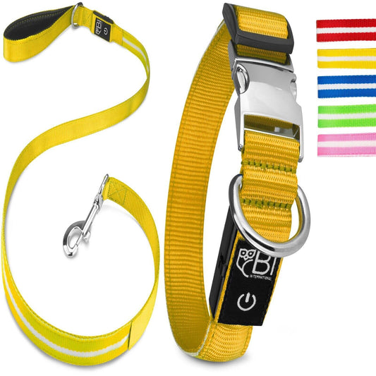 Petsation Leuchthalsband & Hundeleine Set – Sicherer Spaziergang bei Nacht mit 5 Leuchtpunkten für bessere Sichtbarkeit – Reflexion & Sicherheit für Hunde – Strapazierfähiges LED Halsband & Leine für Dunkelheit für Spaziergänge Gelb Größe M 38-50cm