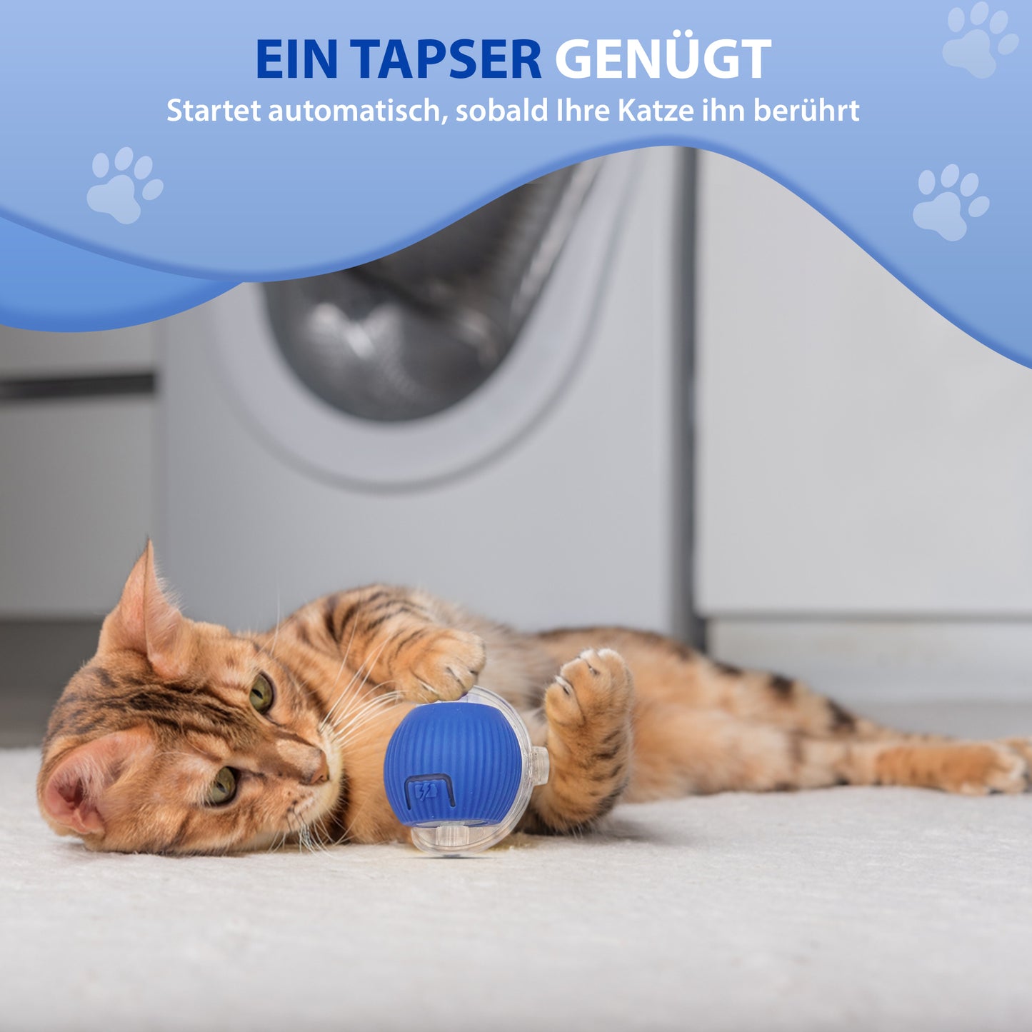 Automatisches Katzenspielzeug mit LED, Bewegung, interaktiv & sicher