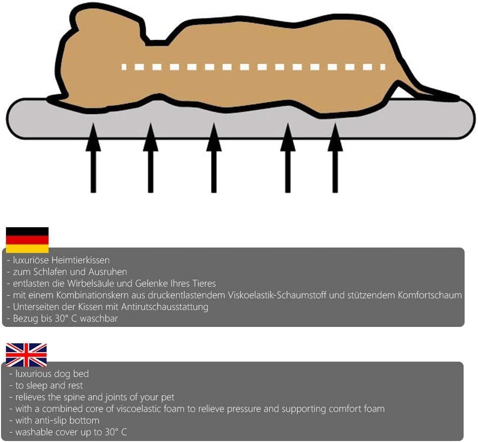 BENJI orthopädisch Hundebett