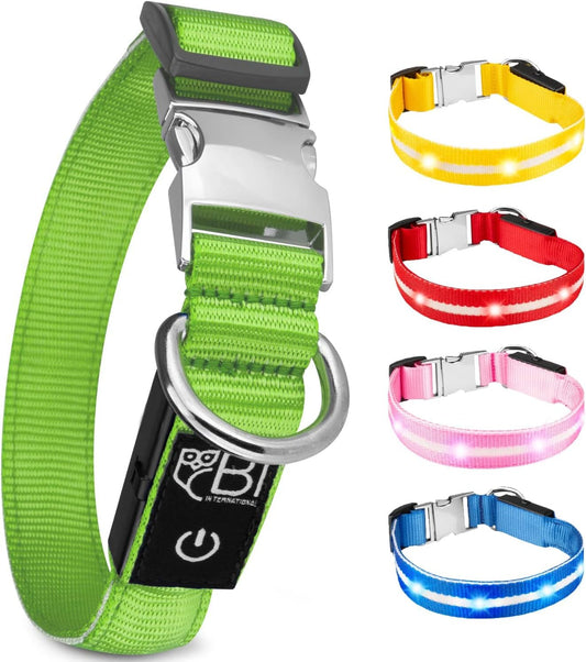 Petsation Leuchthalsband für Hunde – Reflektierendes Hundehalsband mit 5 Leuchtpunkten für bessere Sichtbarkeit und Sicherheit bei Nacht, Verstellbar, Wasserdicht, Ideal für Spaziergänge im Dunkeln, Hundezubehör Grün Größe S 28-40cm