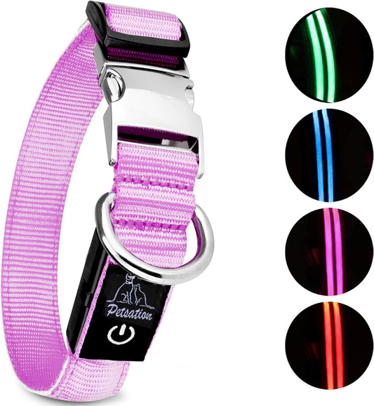 Petsation Leuchthalsband für Hunde – Hundehalsband Durchgängig Leuchtend, LED-Beleuchtung für Sichtbarkeit im Dunkeln, Wasserdicht, Verstellbar, Sicheres Hundezubehör für Nächtliche Spaziergänge, Reflektierend & Leuchtend Pink Größe S 28-40cm