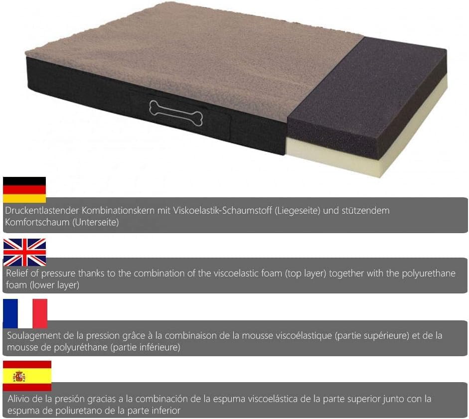 BENJI orthopädisch Hundebett