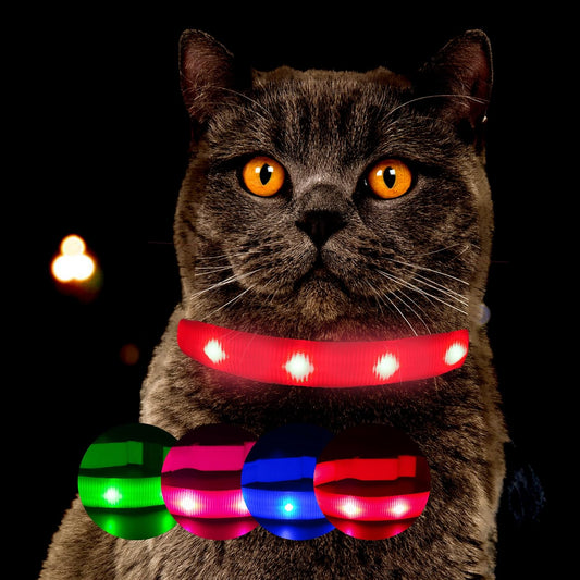 PETSATION Leuchtendes Katzenhalsband - Sicherheits-LED Halsband für Katzen, Verstellbar & Wasserdicht, Perfekt für Nachtspaziergänge, Helles, Reflektierendes Katzenzubehör für Sichtbarkeit & Schutz im Dunkeln Rot Größe S 21-28cm