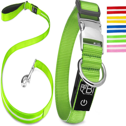 Petsation Leuchthalsband & Hundeleine Set – Sicherer Spaziergang bei Nacht mit 5 Leuchtpunkten für bessere Sichtbarkeit – Reflexion & Sicherheit für Hunde – Strapazierfähiges LED Halsband & Leine für Dunkelheit für Spaziergänge Grün Größe S 28-40cm