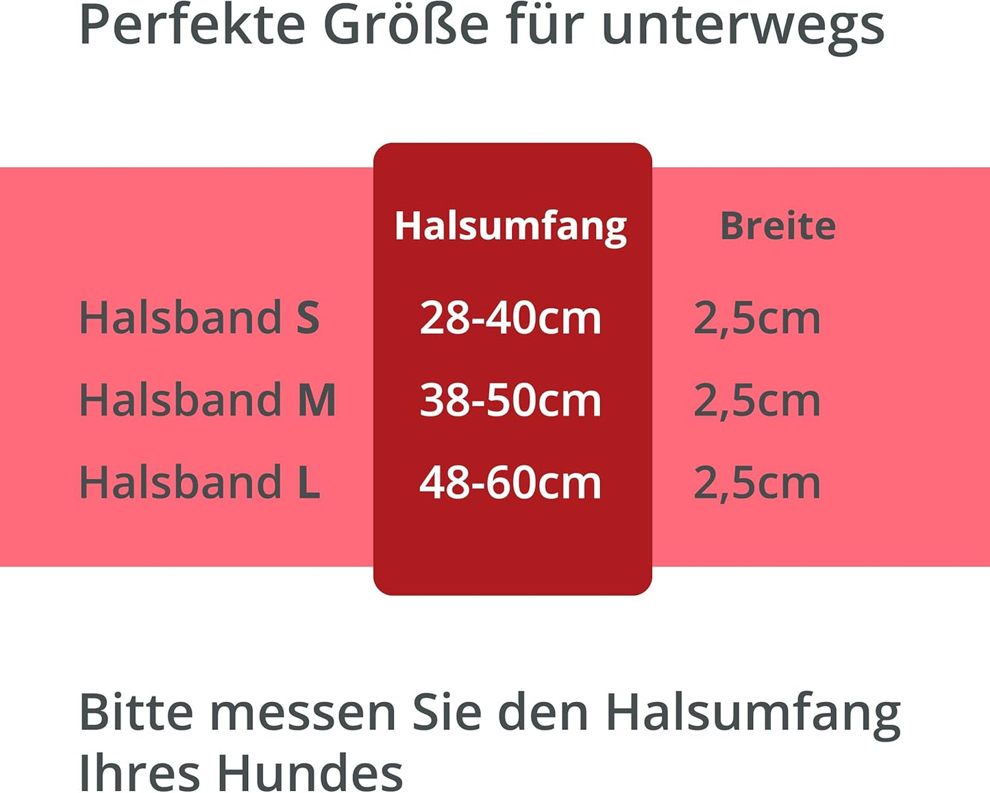 Petsation Leuchthalsband für Hunde [Das Original] Leuchtendes LED Hundehalsband spazieren gehen auch im Dunkeln Lange Akkulaufzeit – Sicher Dank hochwertigem Metallverschluss