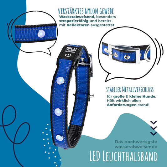 LED Hundehalsband, Leuchthalsband Blau Größe L 44-50cm