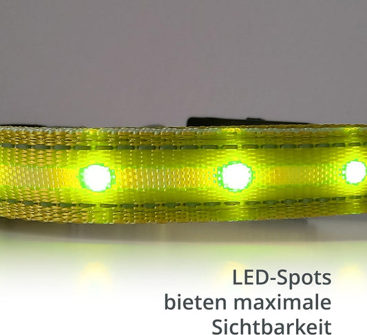 Petsation Leuchthalsband für Hunde – Reflektierendes Hundehalsband mit 5 Leuchtpunkten für bessere Sichtbarkeit und Sicherheit bei Nacht, Verstellbar, Wasserdicht, Ideal für Spaziergänge im Dunkeln, Hundezubehör Gelb Größe M 38-50cm
