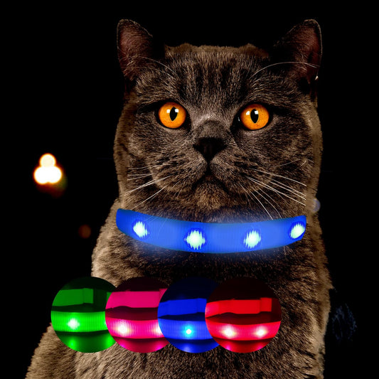 PETSATION Leuchtendes Katzenhalsband - Sicherheits-LED Halsband für Katzen, Verstellbar & Wasserdicht, Perfekt für Nachtspaziergänge, Helles, Reflektierendes Katzenzubehör für Sichtbarkeit & Schutz im Dunkeln Blau Größe M 21-35cm