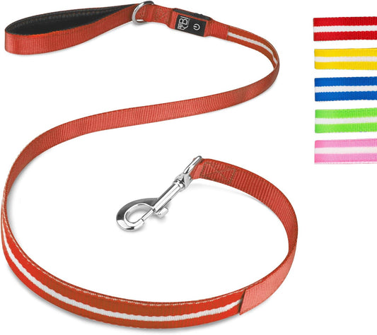 Petsation LED Hundeleine Leuchtend – Sicherheitsleine für Hunde bei Nacht – USB-aufladbar, wasserdicht, reflektierend – Sichtbarkeit & Kontrolle beim Gassi gehen – für kleine & große Hunde geeignet Rot
