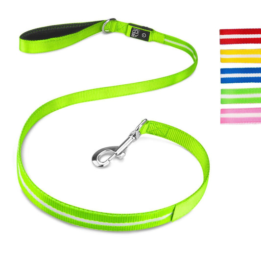 LED Hundeleine Leuchtend – Sicherheitsleine für Hunde bei Nacht  - Grün