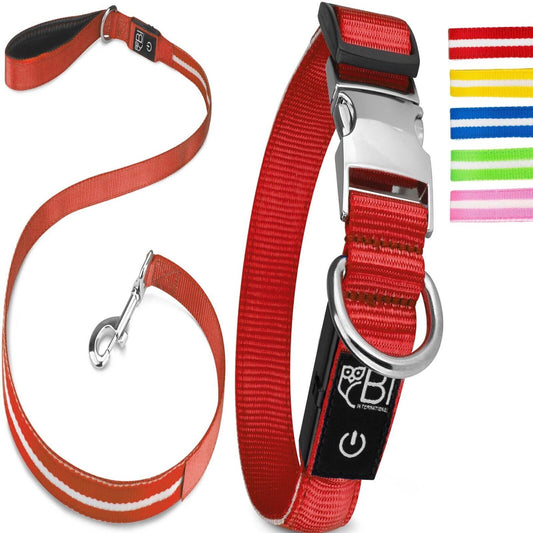 Petsation Leuchthalsband & Hundeleine Set – Sicherer Spaziergang bei Nacht mit 5 Leuchtpunkten für bessere Sichtbarkeit – Reflexion & Sicherheit für Hunde – Strapazierfähiges LED Halsband & Leine für Dunkelheit für Spaziergänge Rot Größe L 48-60cm