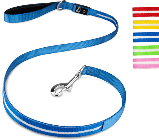 LED Hundeleine Leuchtend – Sicherheitsleine für Hunde bei Nacht  - Blau