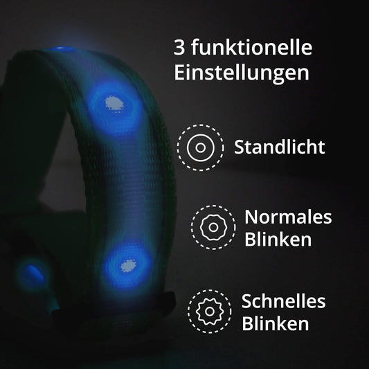 Petsation Leuchthalsband für Hunde – Reflektierendes Hundehalsband mit 5 Leuchtpunkten für bessere Sichtbarkeit und Sicherheit bei Nacht, Verstellbar, Wasserdicht, Ideal für Spaziergänge im Dunkeln, Hundezubehör Blau Größe L 48-60cm