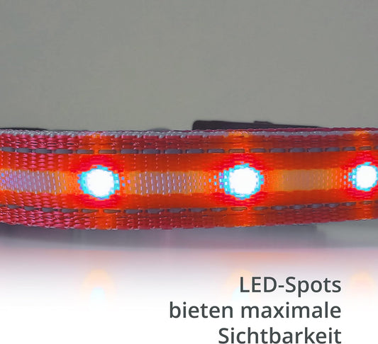 Petsation Leuchthalsband für Hunde – Reflektierendes Hundehalsband mit 5 Leuchtpunkten für bessere Sichtbarkeit und Sicherheit bei Nacht, Verstellbar, Wasserdicht, Ideal für Spaziergänge im Dunkeln, Hundezubehör Rot Größe L 48-60cm