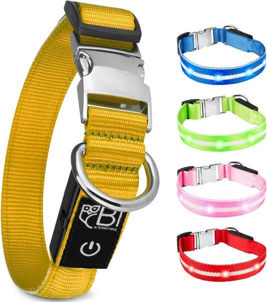 Petsation Leuchthalsband für Hunde – Reflektierendes Hundehalsband mit 5 Leuchtpunkten für bessere Sichtbarkeit und Sicherheit bei Nacht, Verstellbar, Wasserdicht, Ideal für Spaziergänge im Dunkeln, Hundezubehör Gelb Größe S 28-40cm