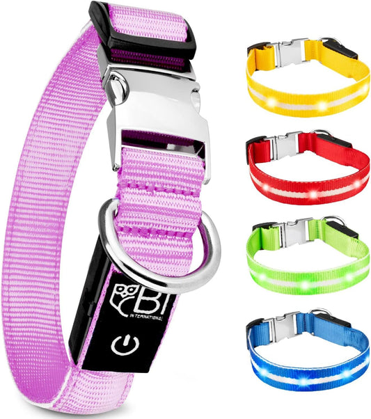 Petsation Leuchthalsband für Hunde – Reflektierendes Hundehalsband mit 5 Leuchtpunkten für bessere Sichtbarkeit und Sicherheit bei Nacht, Verstellbar, Wasserdicht, Ideal für Spaziergänge im Dunkeln, Hundezubehör Pink Größe L 48-60cm