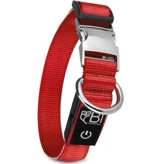 Petsation Leuchthalsband für Hunde – Hundehalsband Durchgängig Leuchtend, LED-Beleuchtung für Sichtbarkeit im Dunkeln, Wasserdicht, Verstellbar, Sicheres Hundezubehör für Nächtliche Spaziergänge, Reflektierend & Leuchtend Rot Größe M 38-50cm