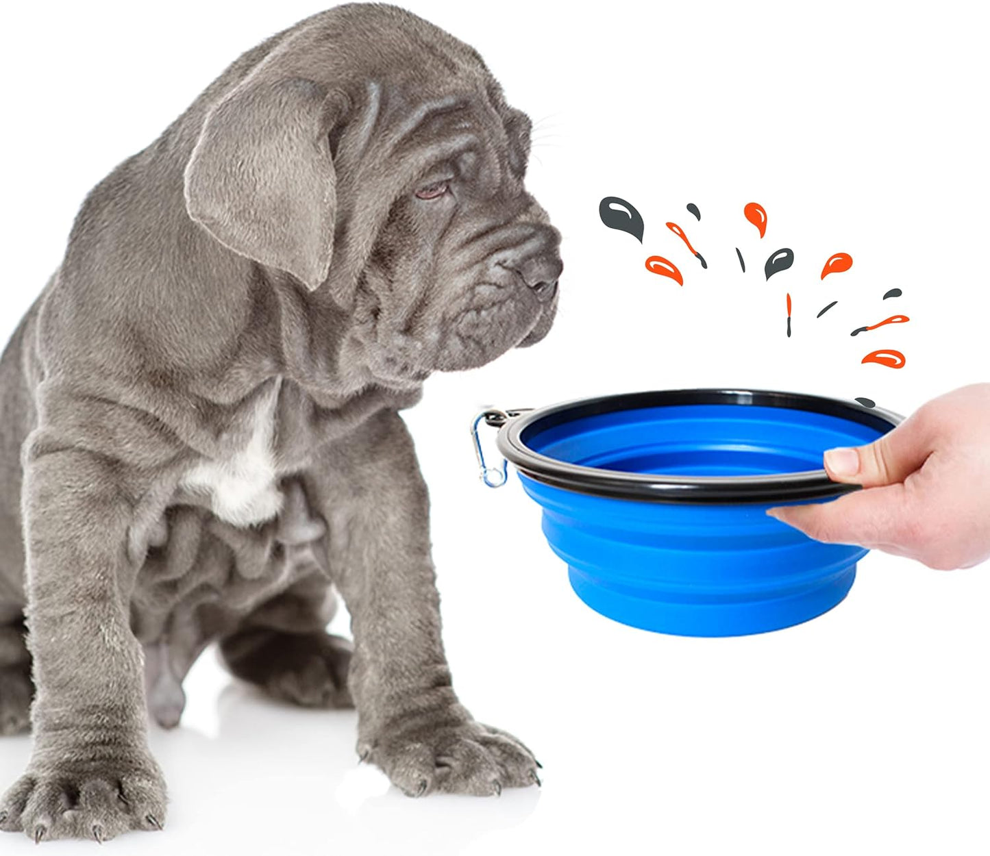 PETSATION Foldable Dog Bowl for on the Go [The Original] Travel Bowl, Food Bowl &amp; Water Bowl for Dogs - Drinking Bowl, Ideal for Travel, Walks &amp; Everyday Use Light Blue 2000ml