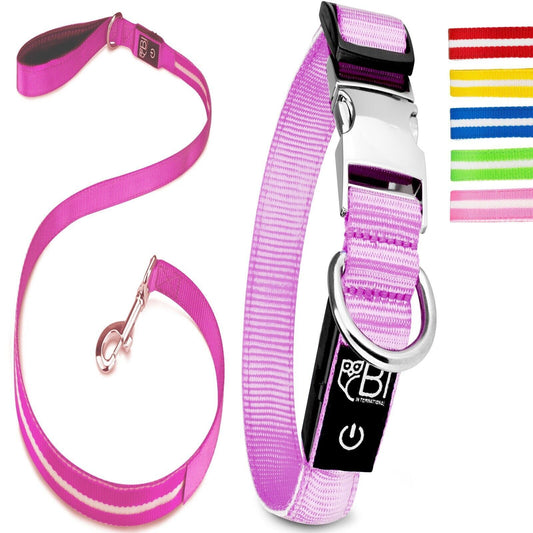 Petsation Leuchthalsband & Hundeleine Set – Sicherer Spaziergang bei Nacht mit 5 Leuchtpunkten für bessere Sichtbarkeit – Reflexion & Sicherheit für Hunde – Strapazierfähiges LED Halsband & Leine für Dunkelheit für Spaziergänge Pink Größe XS 24-35cm