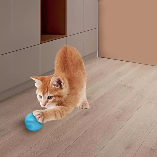 Interaktives Katzenspielzeug Ball Elektrisch für Katzen -  türkis