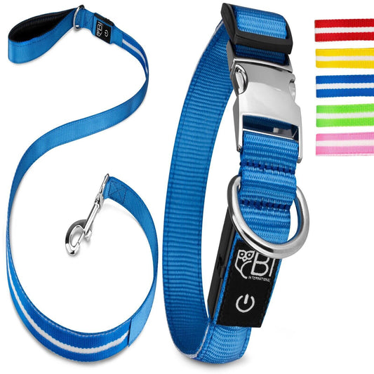 Petsation Leuchthalsband & Hundeleine Set – Sicherer Spaziergang bei Nacht mit 5 Leuchtpunkten für bessere Sichtbarkeit – Reflexion & Sicherheit für Hunde – Strapazierfähiges LED Halsband & Leine für Dunkelheit für Spaziergänge Blau Größe S 28-40cm